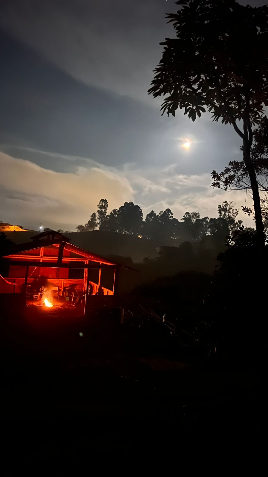 kambo ceremony in colombia